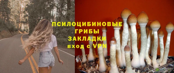 таблы Армянск