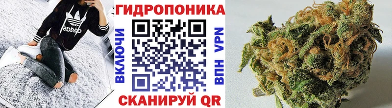 даркнет сайт  Белозерск  Марихуана LSD WEED 